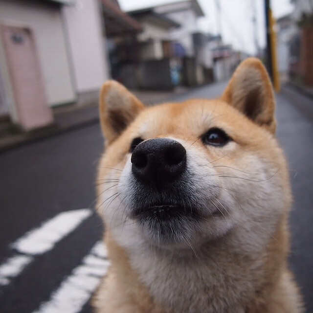 VALORANT 青年联赛报名火爆,valorant比赛官网