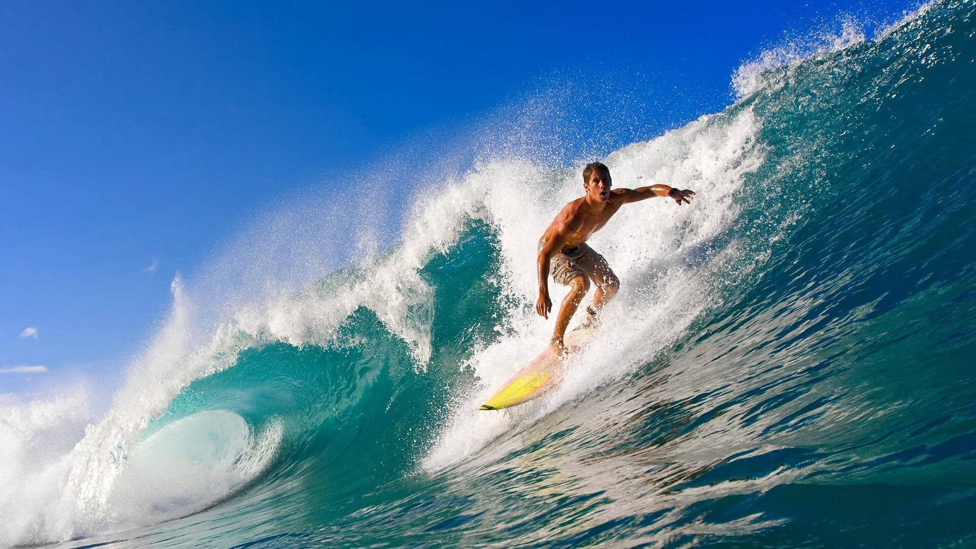 自由泳冲刺朝鲜展现速度优势波兰男队自由泳展现强劲爆发力
